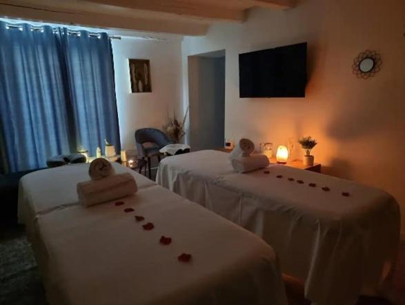 Majord'Home Spa 4*-L'Elegance-Balneo Vieille Ville Annecy Kültér fotó